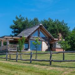 Holiday Home Ernest Železni with hot tub