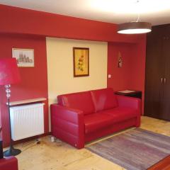 Przytulny apartament nr 115 Krynica Zdrój