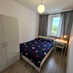 MirrorRoom PL Airport