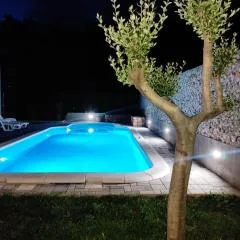Village holiday apartman with heated pool Maslina