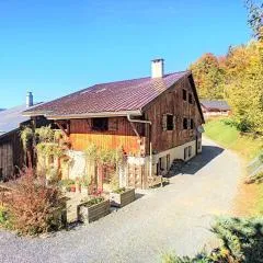 Beautiful renovated chalet near ski resort France
