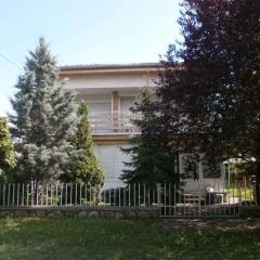 Apartment in Siofok - Balaton 19808