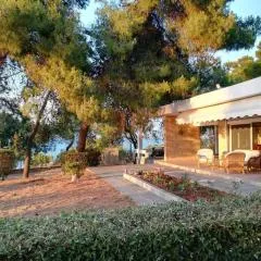 Pine tree beachfront villa