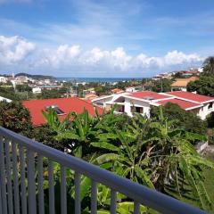 Appartement cosy au Vauclin de 35 m² avec vue