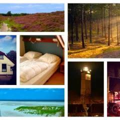 Huisje San Francisco op Terschelling