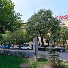 Abovyan street, 1 bedroom Beautiful Renovated, Spacious apartment AB130