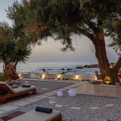 Villa Seashell -Wonderful newly renovated villa on the beach
