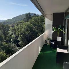 Ferienwohnung Harzmonie