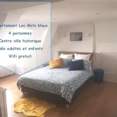 Centre ville historique - calme - les mots bleus