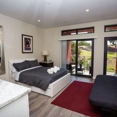 Steps to Balboa Park- Brand New Apt - Cozy Studio