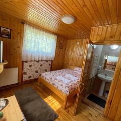 Vila Maria Dambovicioara