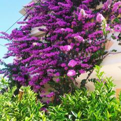 Villa Jadranka Pakostane