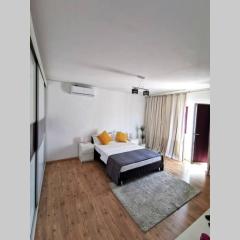 BertigArt Studio Apartment