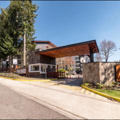 Exceptional Deluxe Apartment Pucon near Lake and Volcano