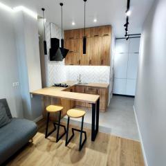 Wood Apartment
