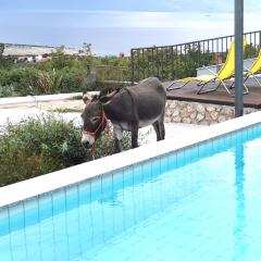 Villa Suzi Donkey farm with seaview