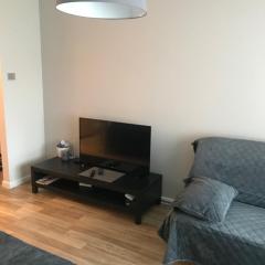 1-Bedroom apartment in city centre