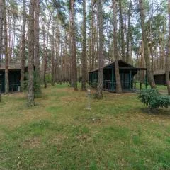 Urlaub im Bungalow mitten im Wald