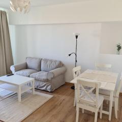 Rene's Leisure Apartment