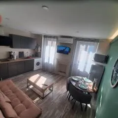 3 Apt T2 COSY de 40 à 50 M2 Idéal pour un déplacement PRO " Les IRIS "