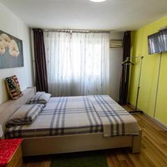 Premium family apartment, Floreasca area