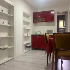 Vlajkovic apartmani 2