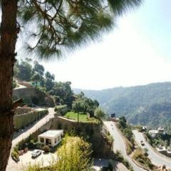 Nature, Meditation with fun and Luv in Woods BAROG near KASAULI