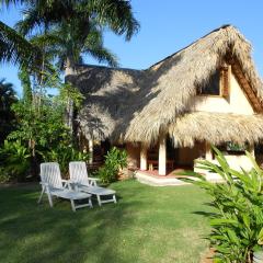 Palm-covered house in the tropical -Casa Oli