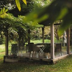 Palm Grove Rainforest Retreat