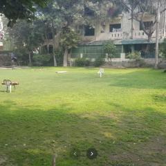 Luxury 3 Bedrooms Apartment