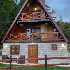 Charming Mountain House Zabljak