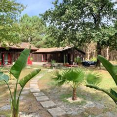 Hacienda de la Canopée avec piscine chauffée au sel