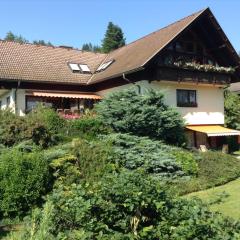 Ferienwohnungen Salmen