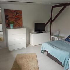 Apartament Mariacka