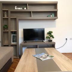 Apartman Mijailović 2