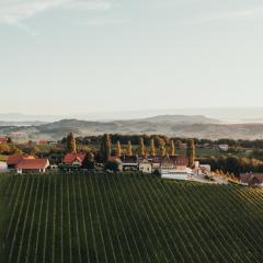 Weinquartier Pichler-Schober