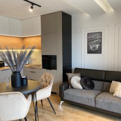 Family & Business Elegant Apartments Kadzielnia, ul Zgody, Stadion Korona, WDK -1 Bedroom, Terrace, Garage - NEW!