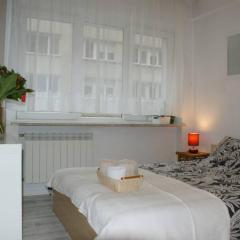 City center- large apartment with National Musee view