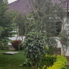 Chagga farm house