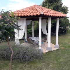 Apartment Pavilion-beautiful garden