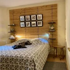 Charming Apartment in the heart of Valbonne Village