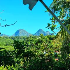 Appartement spacieux à Fort-de-France - Vue jardin 85 m²