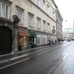 Heart of Vienna - City Apartment