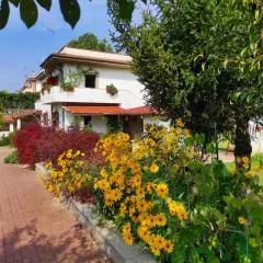 Il Ciliegio Holiday Apartment With Garden