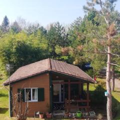 Chalet de 2 chambres avec jardin amenage a Presles et Boves