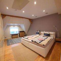 Hochwertiges Penthaus mit großer Dachterrasse in ruhiger Stadtlage