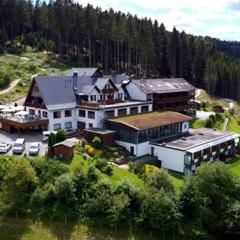 Wald Hotel Willingen