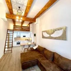 Angel Apartment Černý důl