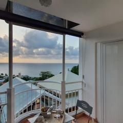 Vous rêvez de soleil ! studio Abricot 309