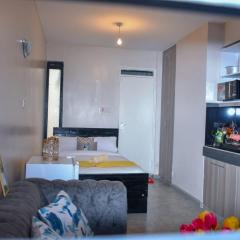 Lux Suites Royal Suburbs Apartments